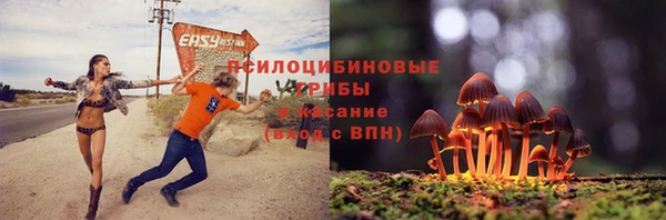СК Зеленокумск
