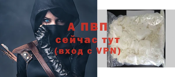 СК Зеленокумск
