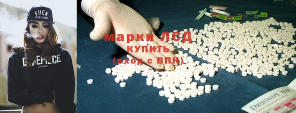 СК Зеленокумск