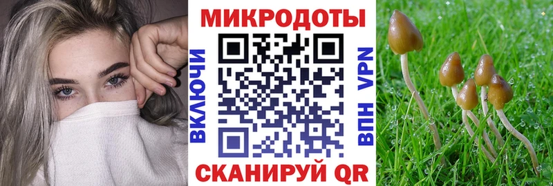 Галлюциногенные грибы мицелий Купить Заринск